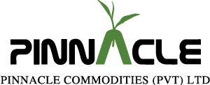 Pinnacle Logo